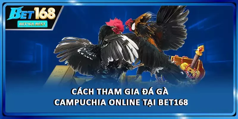 Cách tham gia đá gà Campuchia online tại BET168