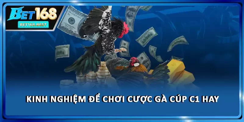 Kinh nghiệm để chơi cược gà cúp C1 hay